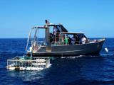 Oahu Tours Oahu Tours